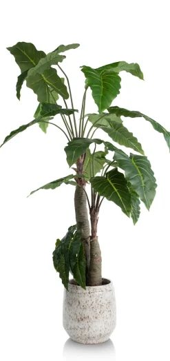 Alocasia Giant Tree H180cm kunstplant in de kleur Groen