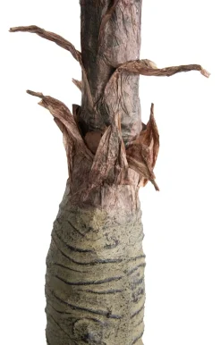 Alocasia Giant Tree H180cm kunstplant in de kleur Groen