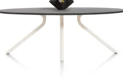 ARVADA tafel 220 x 110 cm - ellips - centrale poot Nebbia - onyx