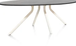 ARVADA tafel 250 x 110 cm - ellips - centrale poot Nebbia - onyx