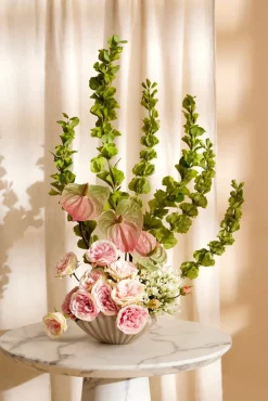 Bella schaal D28cm in de kleur Crème - COCOmaison