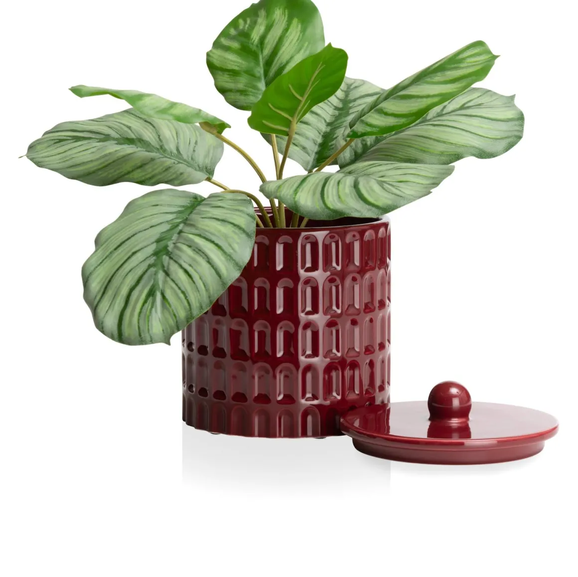 Bisko pot (H16.5cm) in de kleur rod - COCOmaison