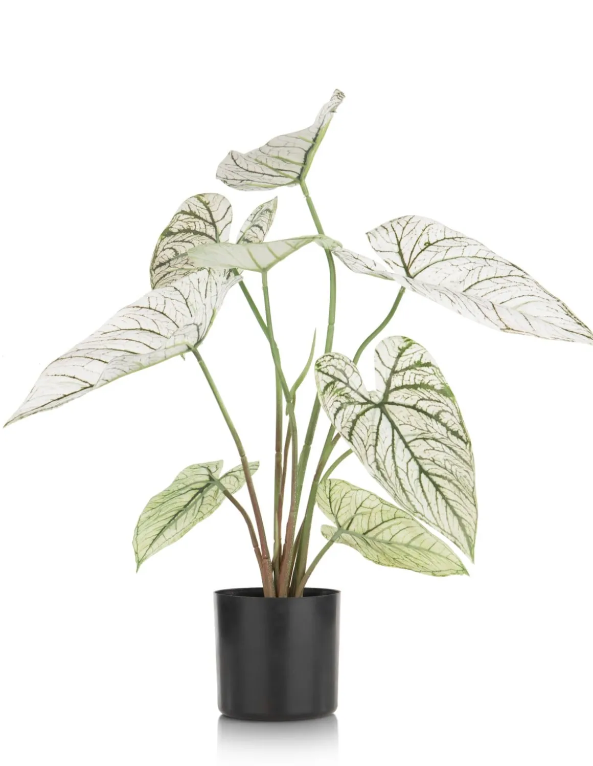 Caladium H60cm kunstplant in de kleur Groen - COCOmaison