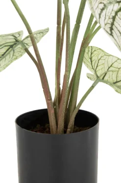 Caladium H60cm kunstplant in de kleur Groen - COCOmaison