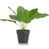 Calathea Orbifolia H45cm kunstplant in de kleur Groen