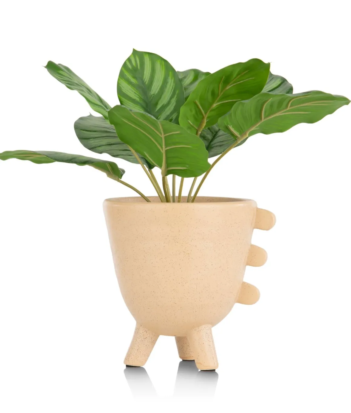 Calathea Orbifolia H45cm kunstplant in de kleur Groen