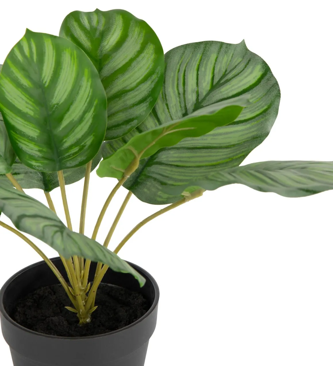 Calathea Orbifolia H45cm kunstplant in de kleur Groen