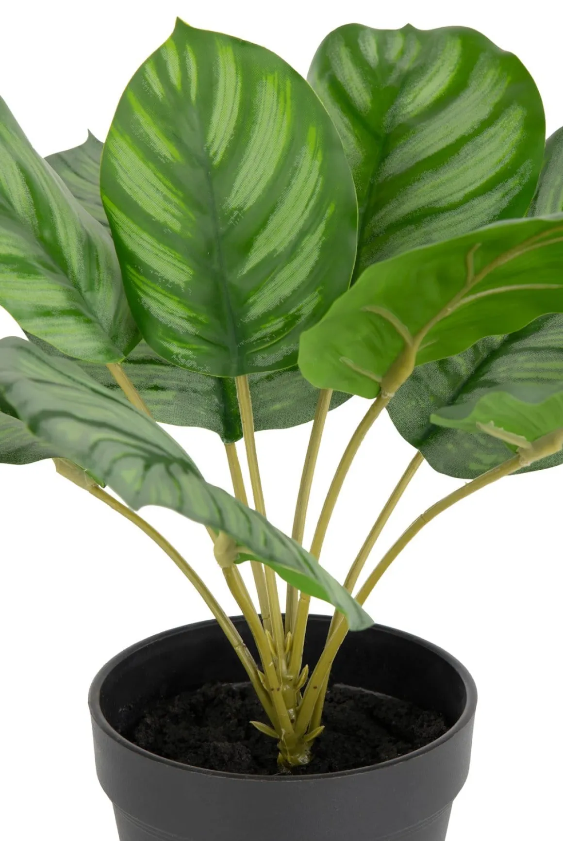 Calathea Orbifolia H45cm kunstplant in de kleur Groen