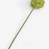 COCOmaison, Allium spray kunstbloem H90cm - Groen