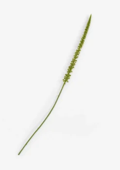 COCOmaison, Donkey Tail kunstbloem H86cm - Groen