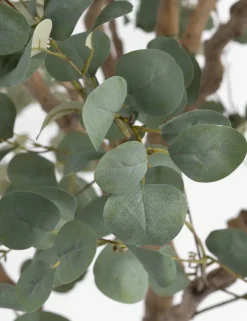 COCOmaison, Eucalyptus Tree kunstplant H240cm - Groen
