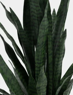 COCOmaison, Sansevieria kunstplant H115cm - Groen