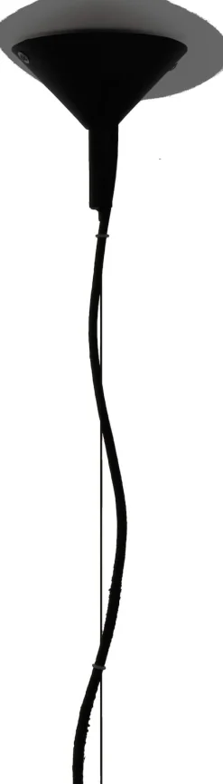 Daan Hanglamp (1*E27) in de kleur Zwart - COCOmaison