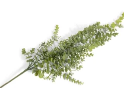 Eucalyptus Hanging Vine in de kleur Groen - COCOmaison