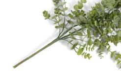 Eucalyptus Hanging Vine in de kleur Groen - COCOmaison