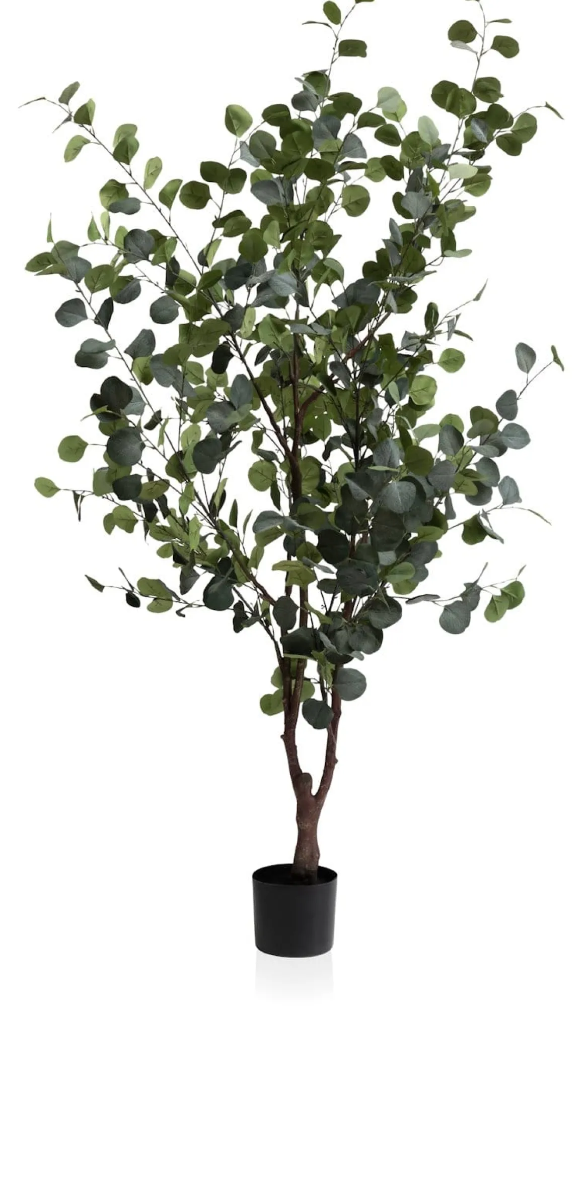 Eucalyptus Tree kunstplant (H180cm) in de kleur Groen