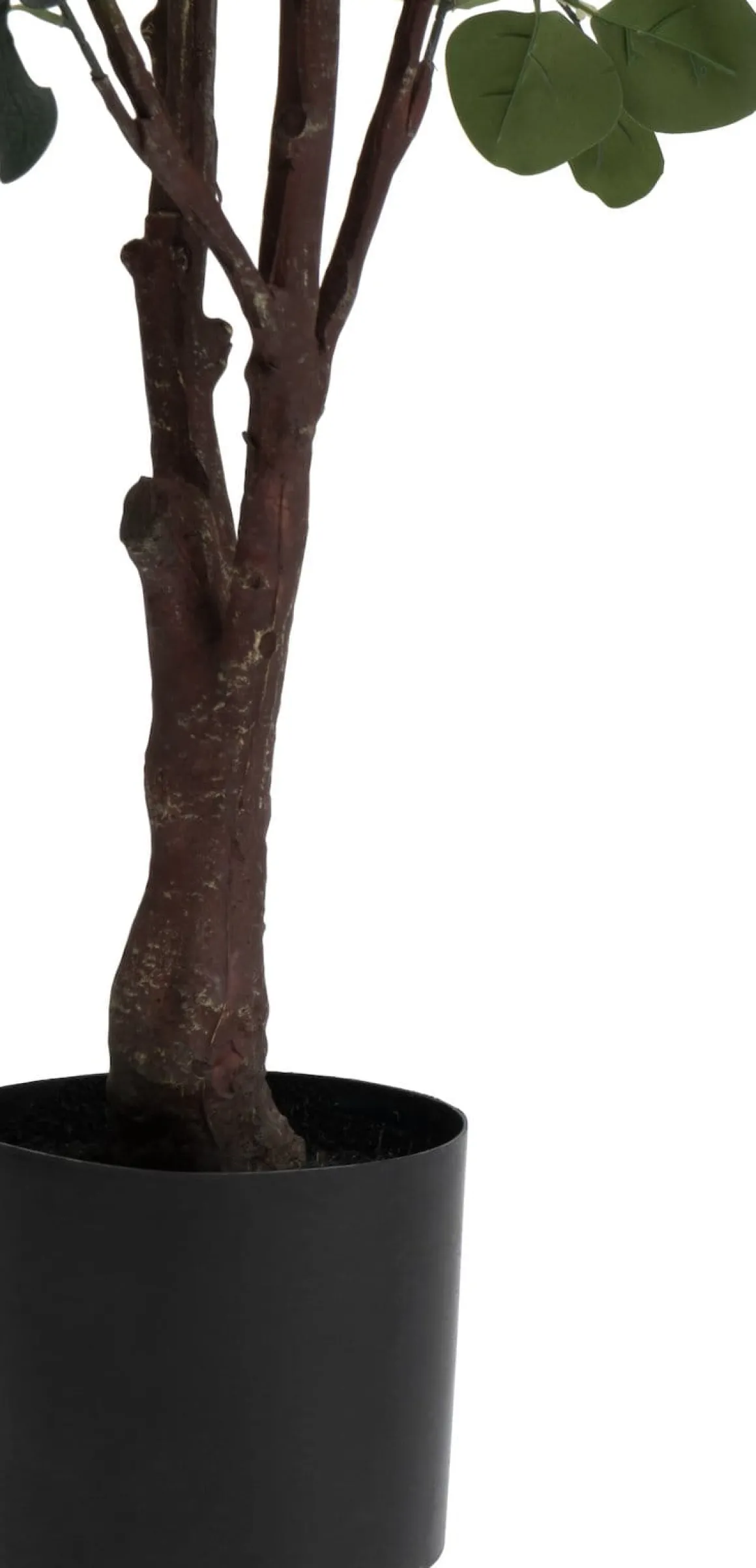 Eucalyptus Tree kunstplant (H180cm) in de kleur Groen