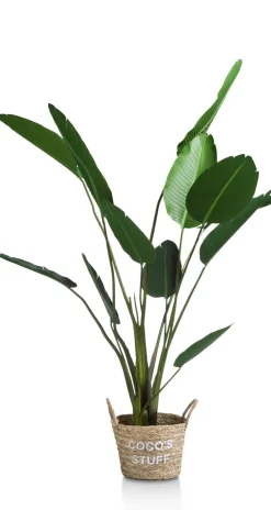 Kunstplant - 150 cm Strelitzia Nicolai | COCOmaison