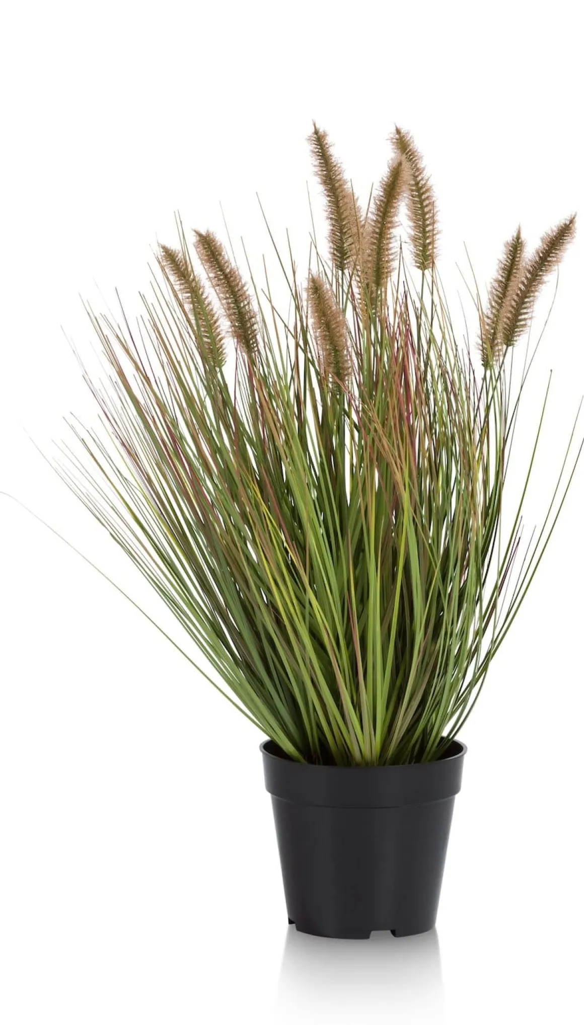 Kunstplant h58 cm Pennisetum Grass | COCOmaison