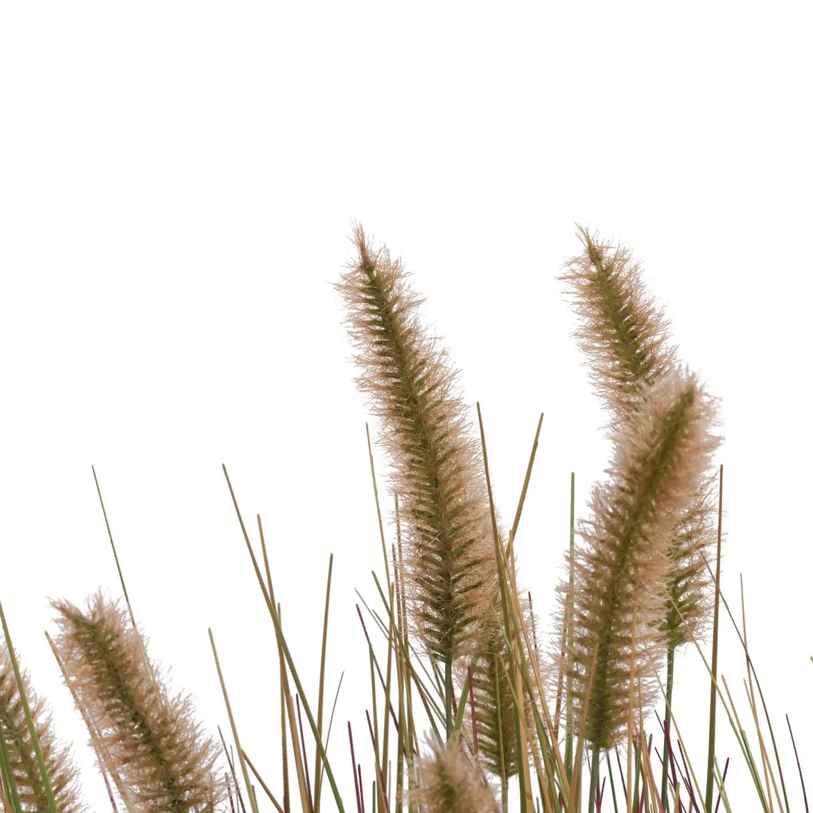 Kunstplant h58 cm Pennisetum Grass | COCOmaison