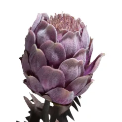 Kunstplant h63 cm Protea Spray | COCOmaison