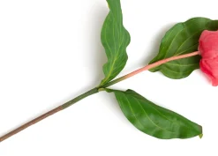 Medinilla Spray kunstbloem (H110cm) in de kleur Oranje