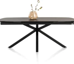 Montello uitschuiftafel met keramiek blad 200(+100)x100cm