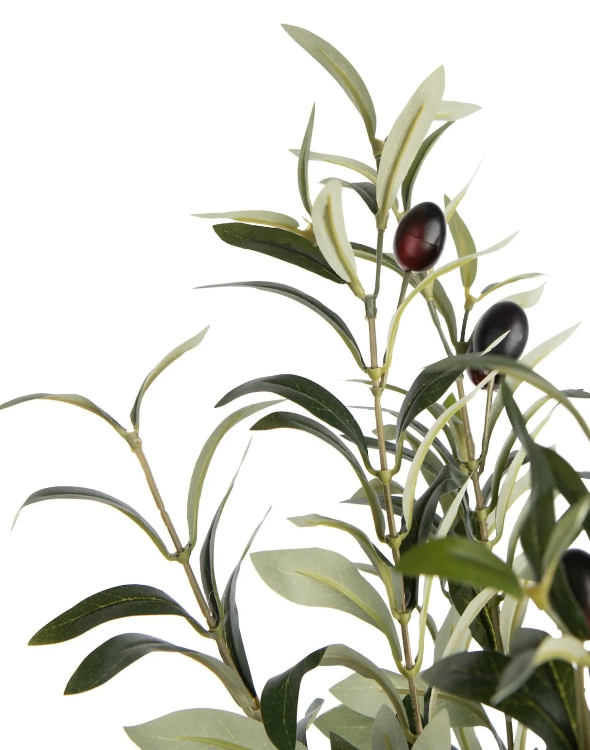 Olive Tree H180cm kunstplant in de kleur Groen - COCOmaison