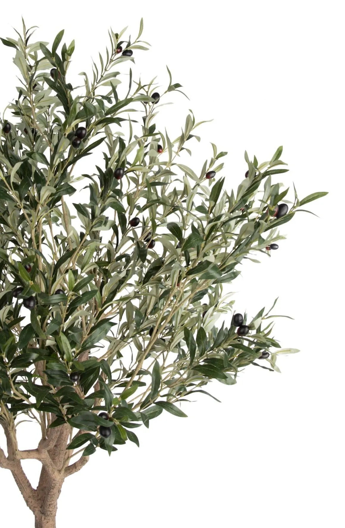 Olive Tree H180cm kunstplant in de kleur Groen - COCOmaison
