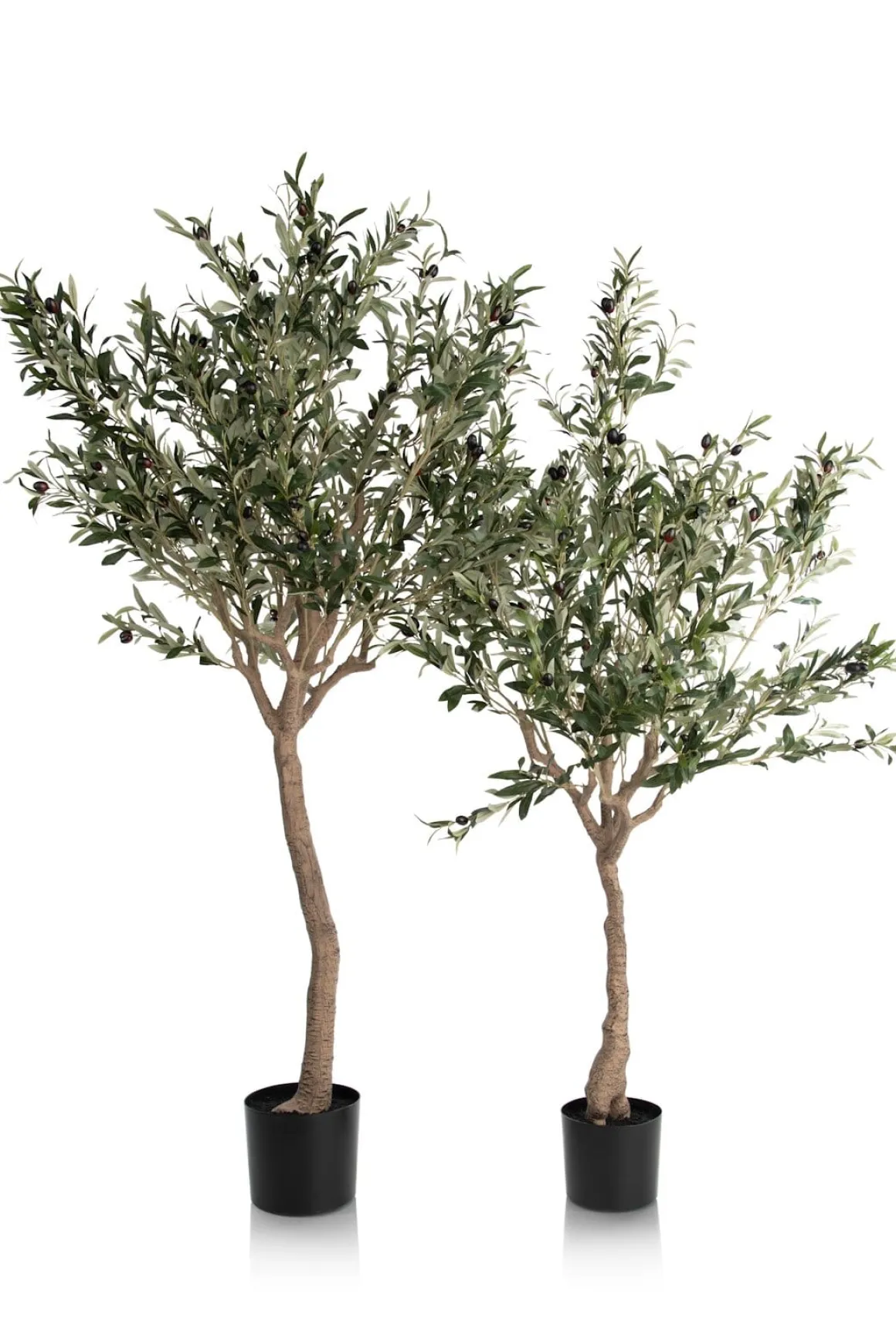 Olive Tree H180cm kunstplant in de kleur Groen - COCOmaison