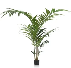 Palm plant h210 cm Kentia | COCOmaison
