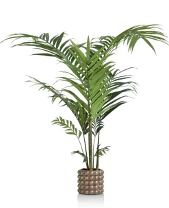 Palm plant h210 cm Kentia | COCOmaison