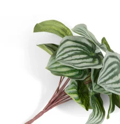 Peperomia Bush H25cm kunstbloem in de kleur Groen - COCOmaison