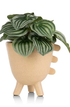 Peperomia Bush H25cm kunstbloem in de kleur Groen - COCOmaison