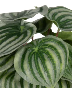 Peperomia Bush H25cm kunstbloem in de kleur Groen - COCOmaison