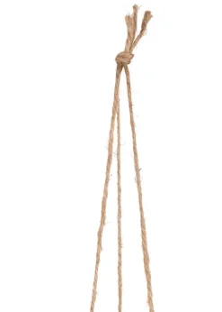 Philodendron Scandens H80cm in de kleur Groen - COCOmaison