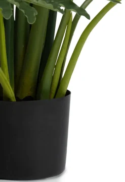 Philodendron Selloum kunstplant (H125cm) in de kleur Groen