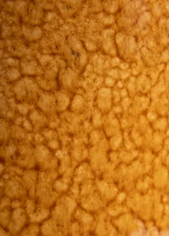 Safia vaas H21cm in de kleur Bruin - COCOmaison