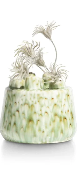 Safia vaas H15cm in de kleur Groen - COCOmaison