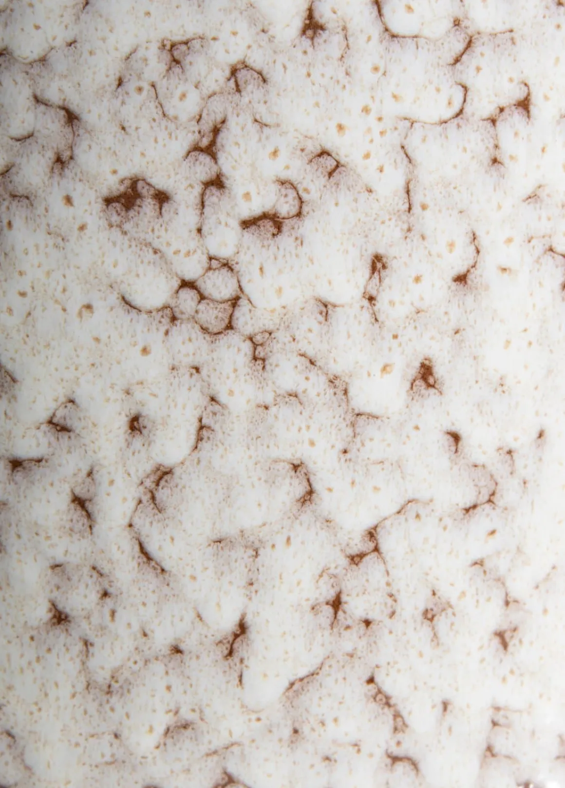 Safia vaas H21cm in de kleur Beige - COCOmaison