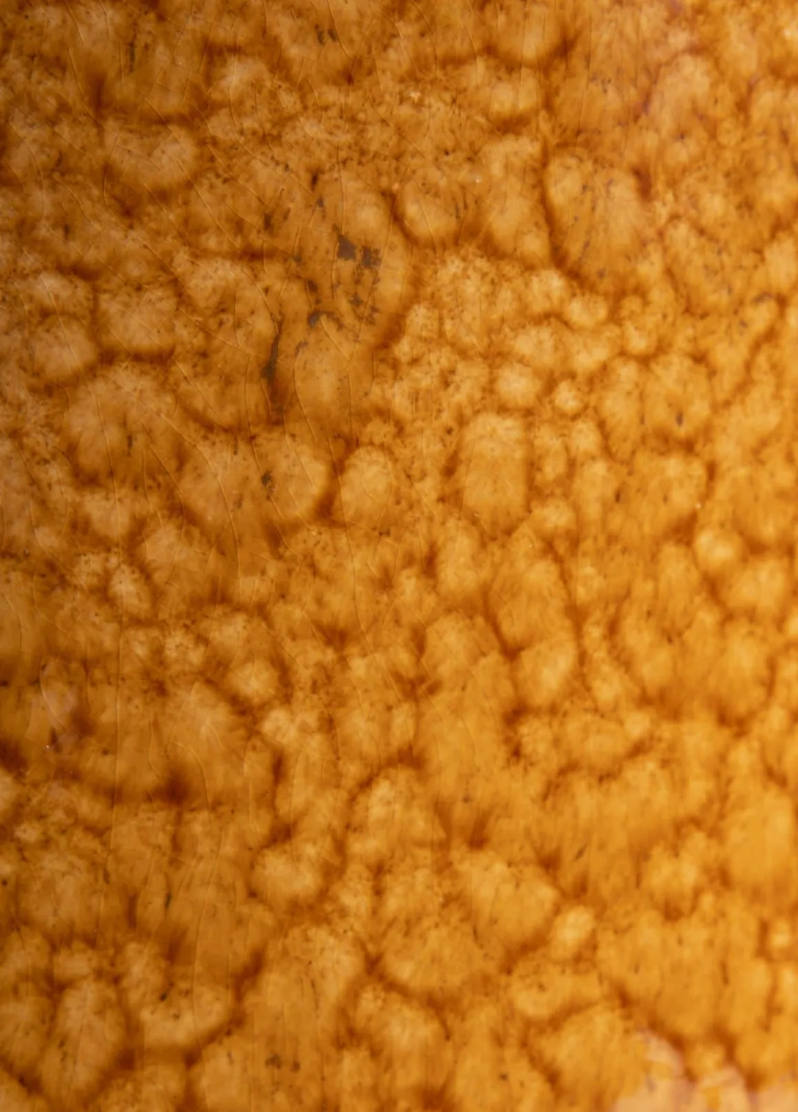 Safia vaas H15cm in de kleur Bruin - COCOmaison