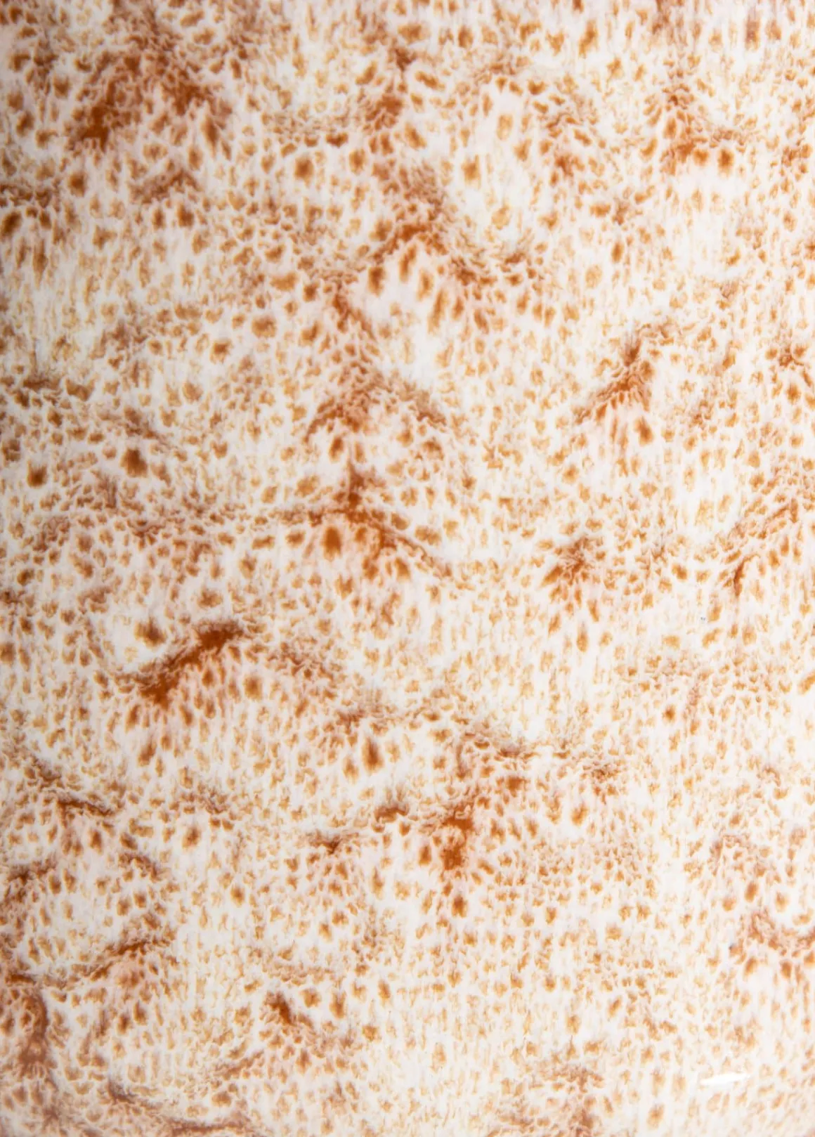 Safia vaas H15cm in de kleur Beige - COCOmaison