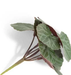 Saxifrage Mini Bush H13cm kunstbloem in de kleur Groen